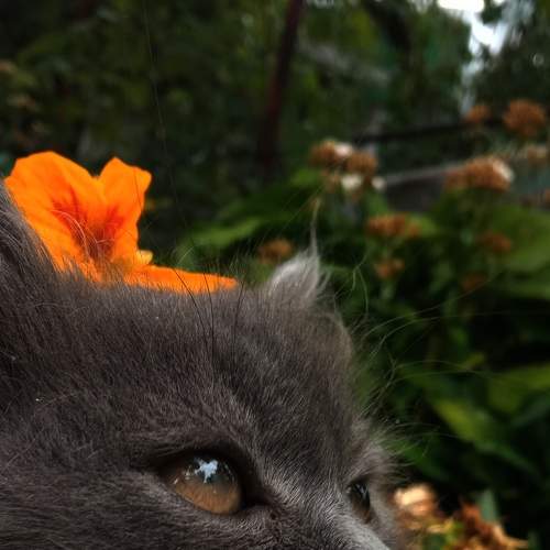 Photo #7728362