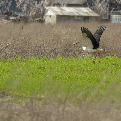 Photo #7728543