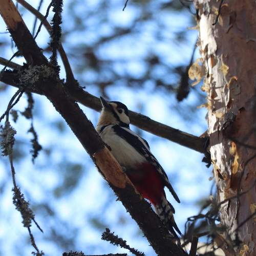Photo #7729162