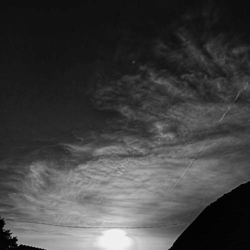 Photo #7729581