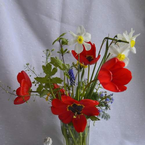 Photo #7729829