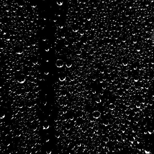Photo #7730019