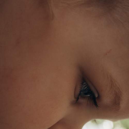 Photo #7730028