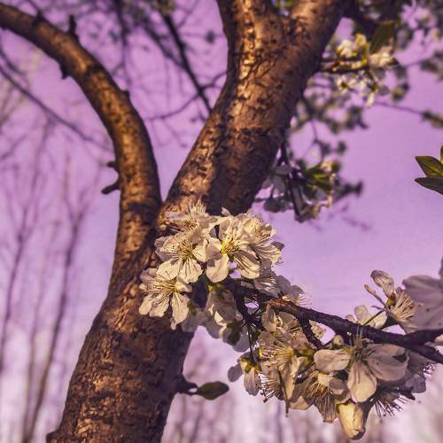 Photo #7730247