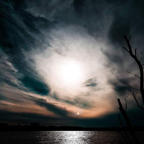 Photo #7730476