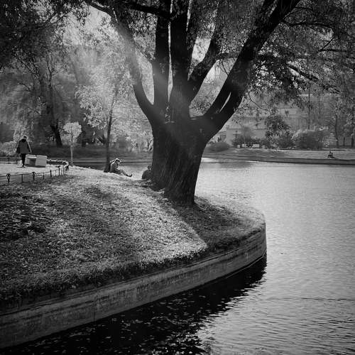 Photo #7730832