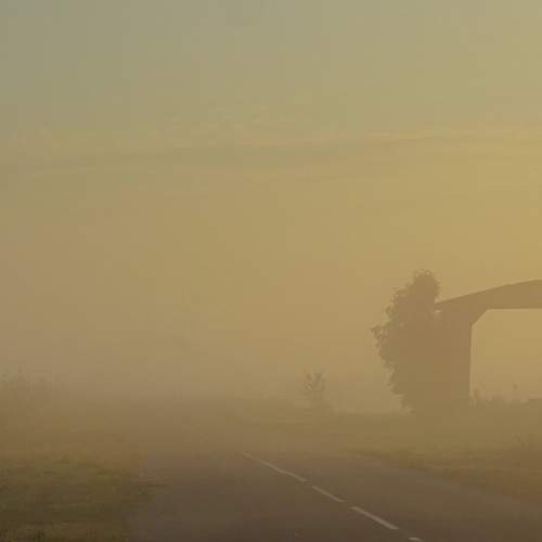 Photo #7730872