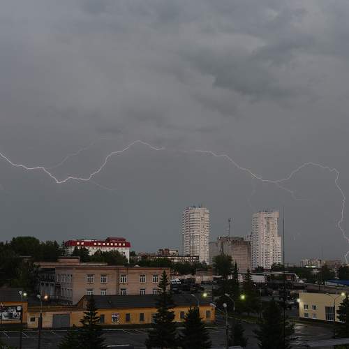 Photo #7731266