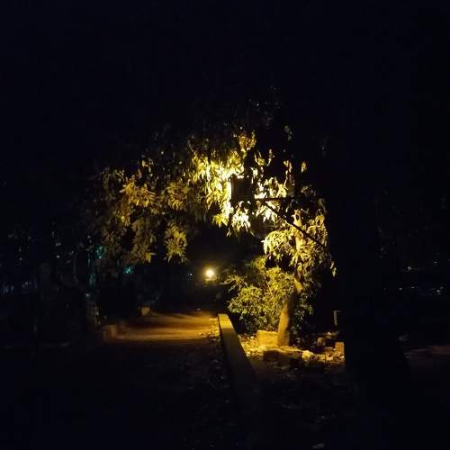 Photo #7731433
