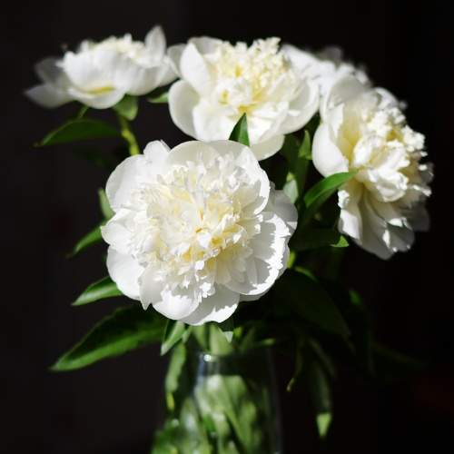 Photo #7731608