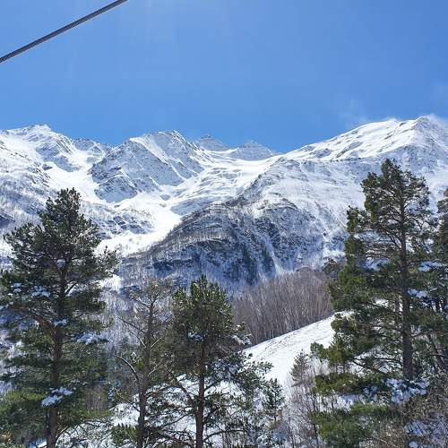 Photo #7731727