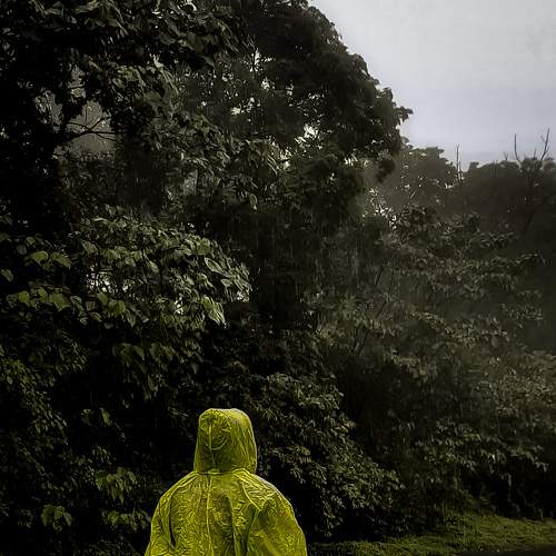 Photo #7732059