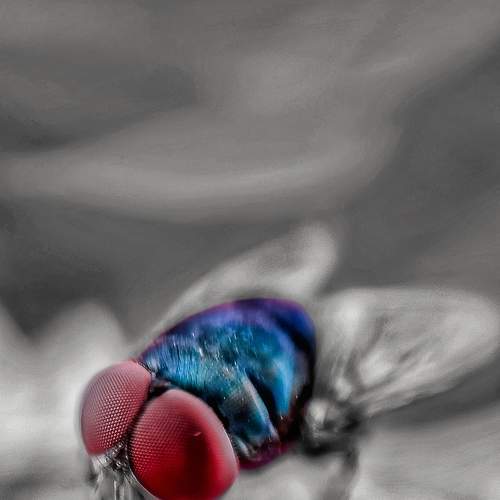 Photo #7732144