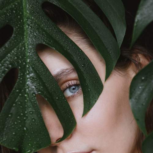 Photo #7732279