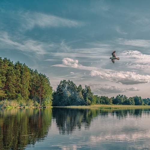 Жарким июльским  днем...