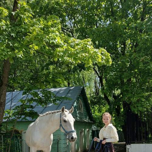 Photo #7732780