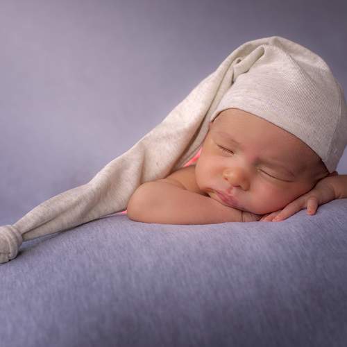 Photo #7732845