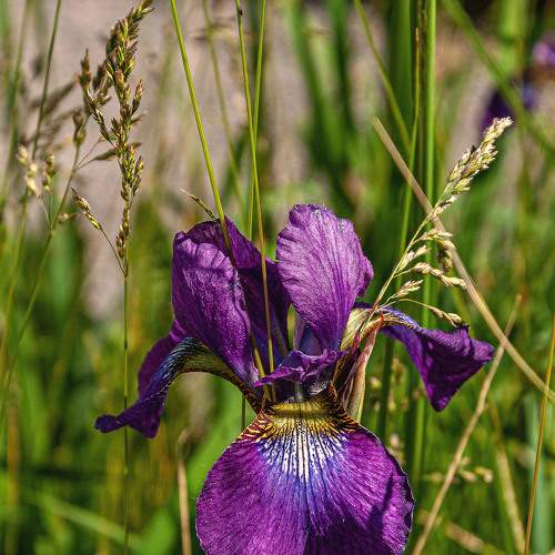 Фотография #7733769
