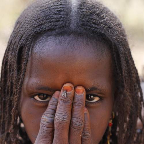 Photo #7734284