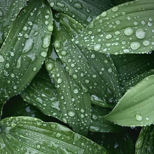 Photo #7734294