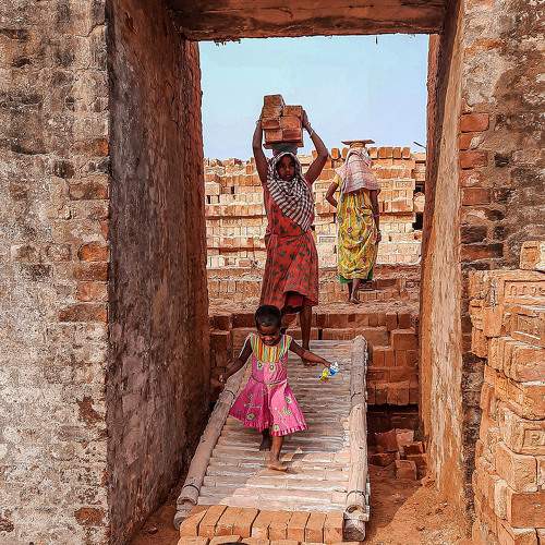Photo #7734491