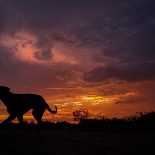Photo #7734681