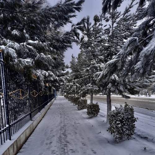 Photo #7734946
