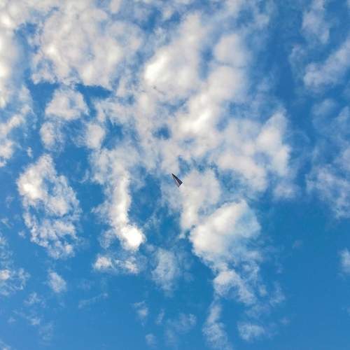 Photo #7735029