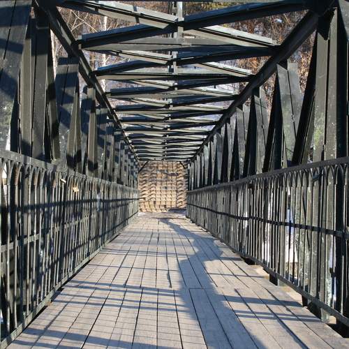 Photo #7735599