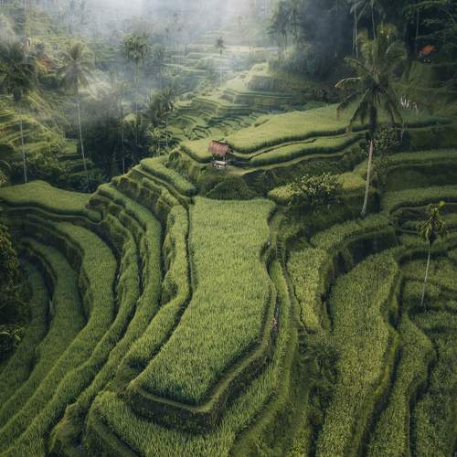 Photo #7735618