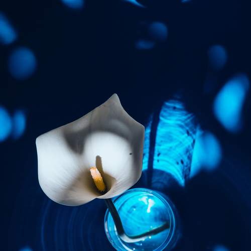 Photo #7735809