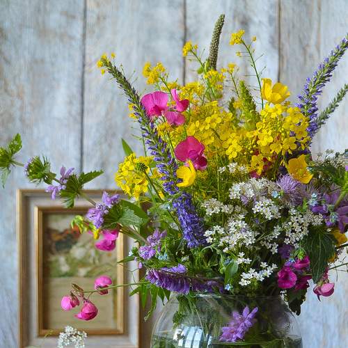 Photo #7735921