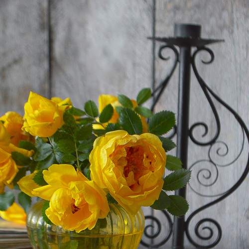 Photo #7735922