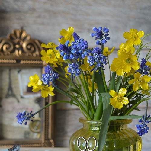 Photo #7735923