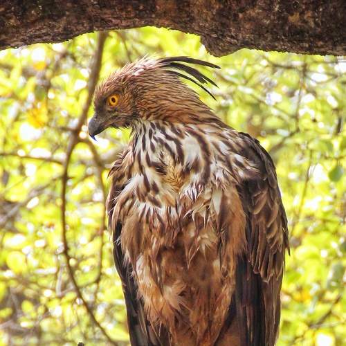 Photo #7735994