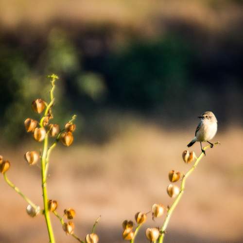 Photo #7735998