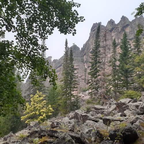 Photo #7736037