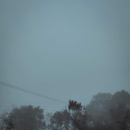 Photo #7736188