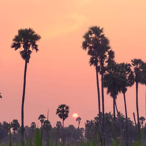 Beauty of village sunset