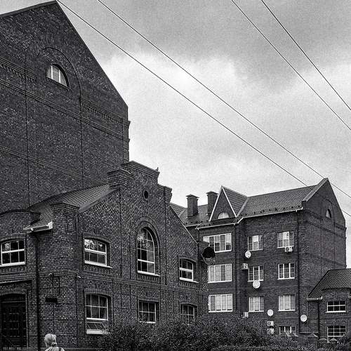 Photo #7736787