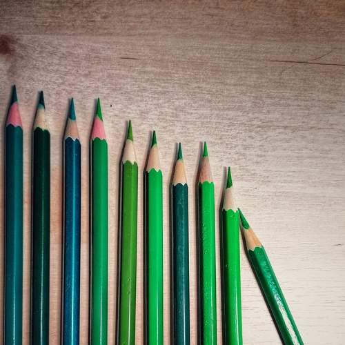 Photo #7736882
