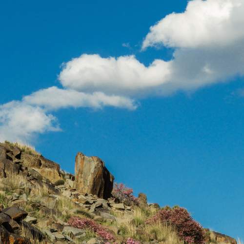 Photo #7737048