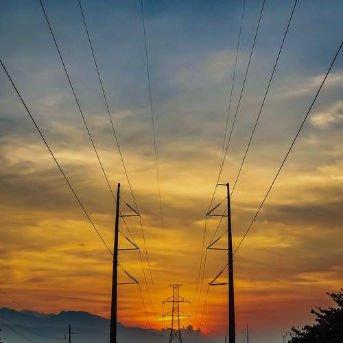 Photo #7737051