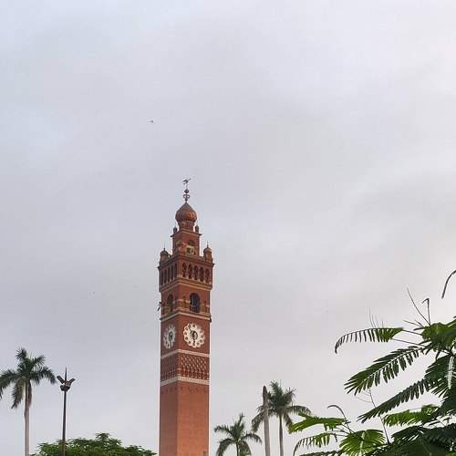 Photo #7737264