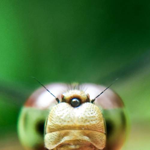 Photo #7737697