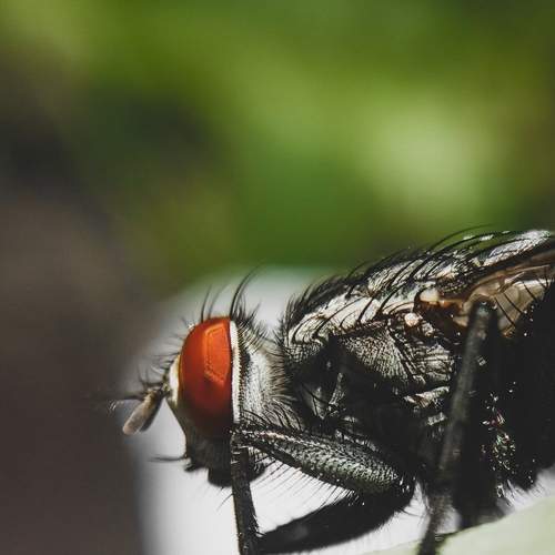 Photo #7737702