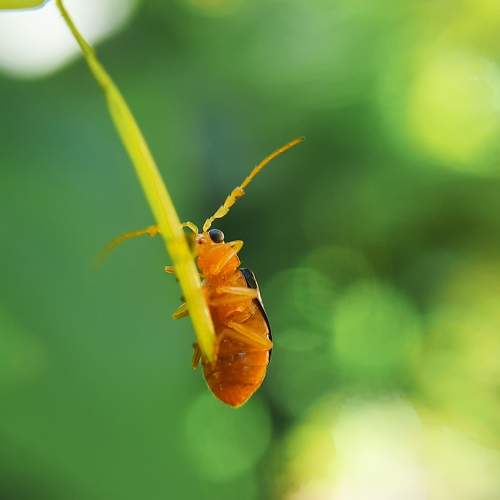 Photo #7737745