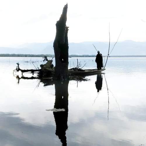 Photo #7738114