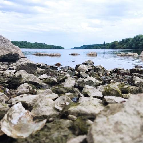 Photo #7738294