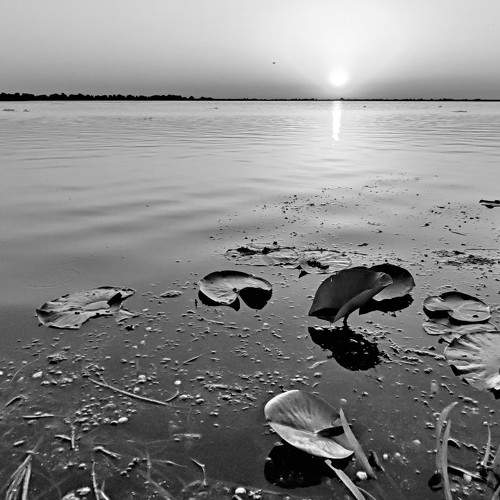 Photo #7738351